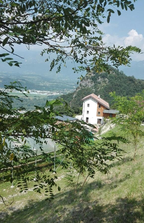 Agriturismo Saetta Villa Lentiai Exterior photo