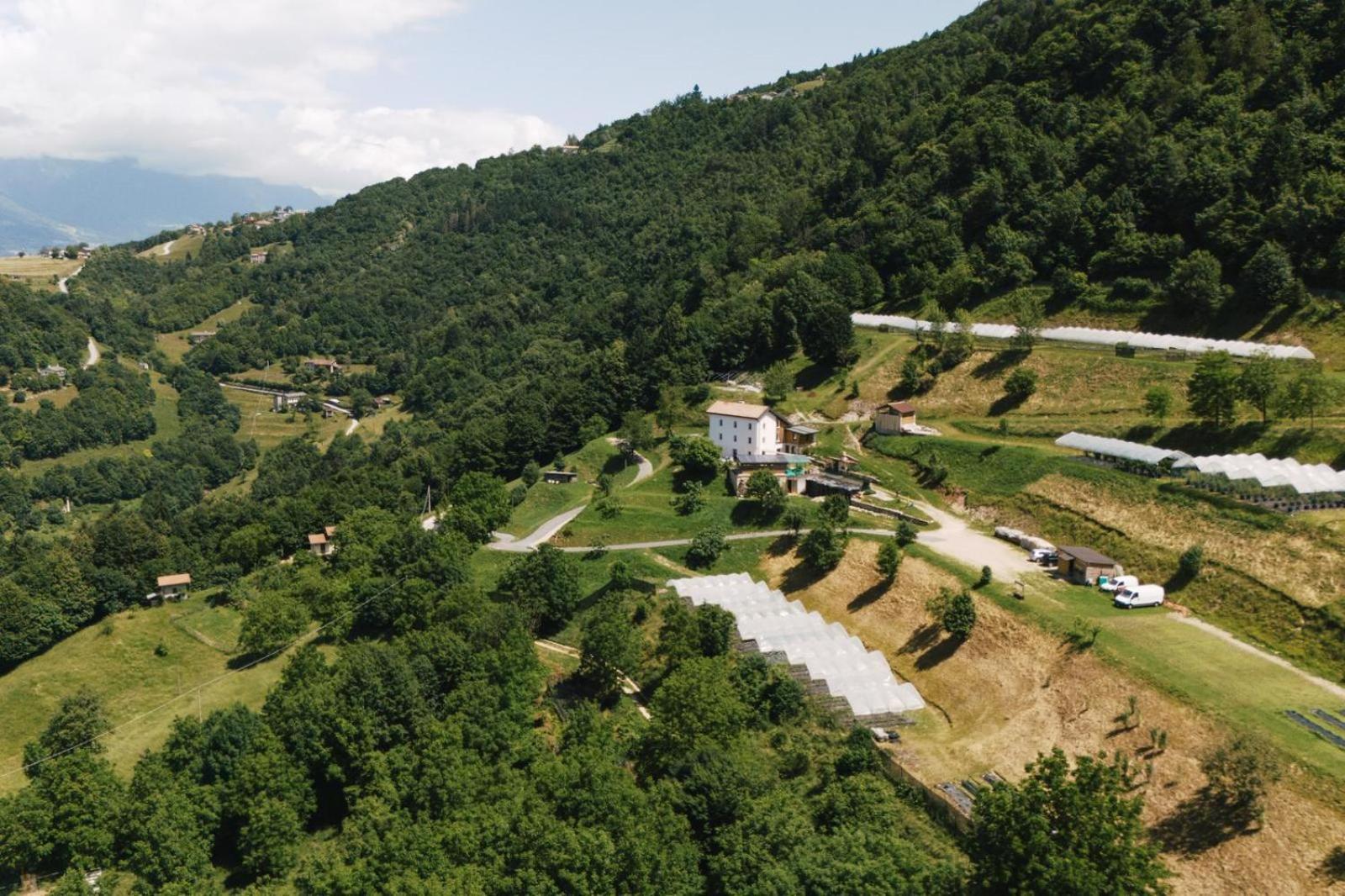 Agriturismo Saetta Villa Lentiai Exterior photo